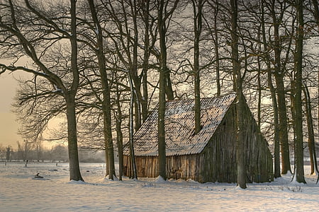 shack in the forest graphic wallpaper