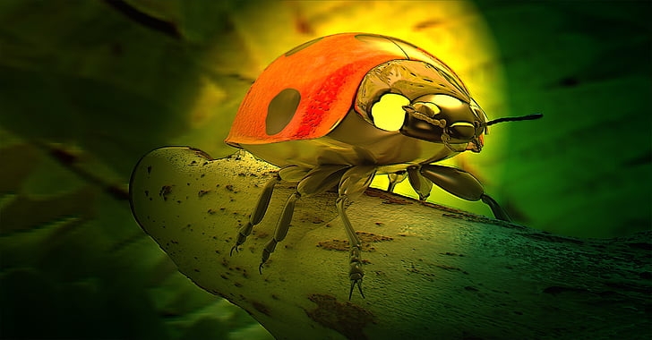 selective color photography of ladybug