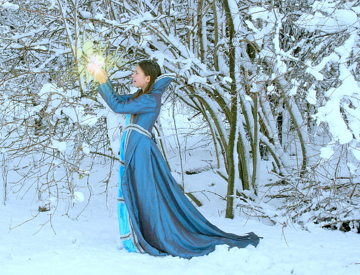 woman in blue long dress surrounded by snow-covered bare trees