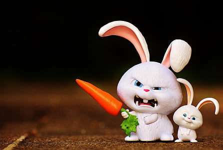 two white rabbits illustration