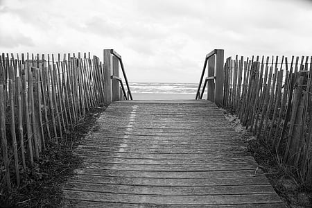 grayscale photography wooden dock
