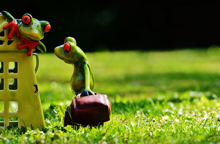two green frog ceramic figurines on green grass
