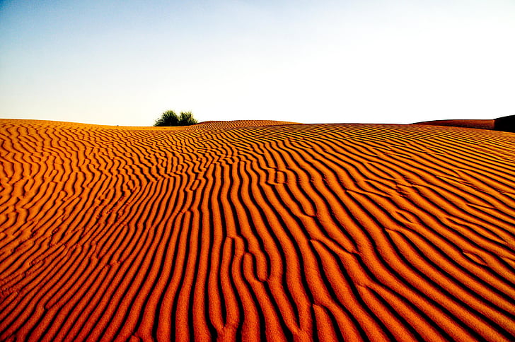 brown desert sands