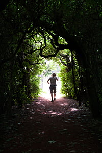 man walking through tree tunnel at daytime