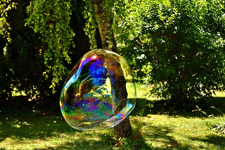 photography of bubble near tree at daytime