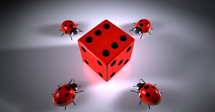 four ladybugs crawling near red and black dice