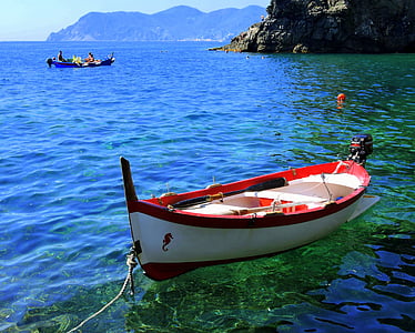 red and white canoe on green water