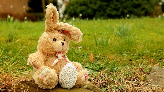brown rabbit plush toy