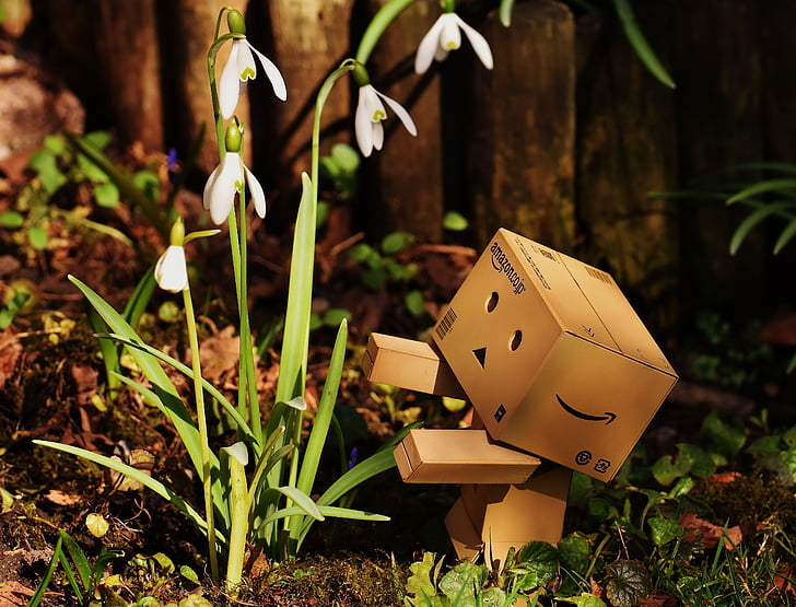 white snowdrop flowers beside brown Amazon cardboard robot
