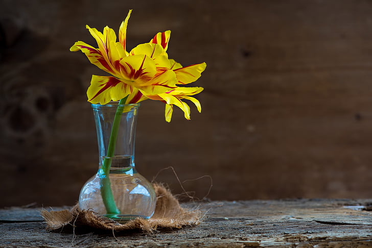 yellow petaled flower on vase