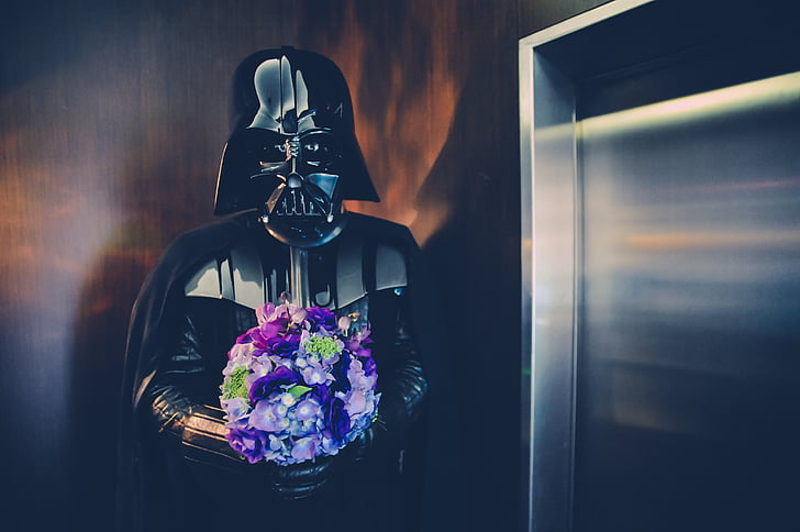 Darth Vader holding purple flower bouquet