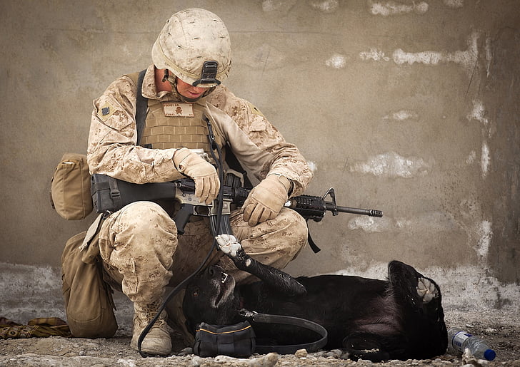 soldier siting near the dog lying on the floor
