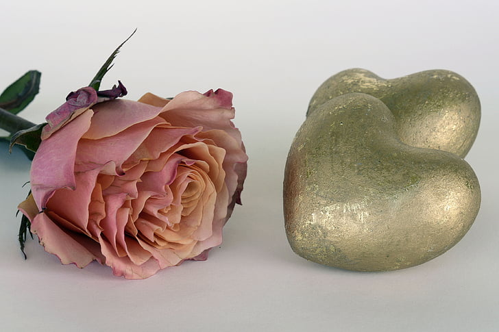 pink rose beside two gold heart decors