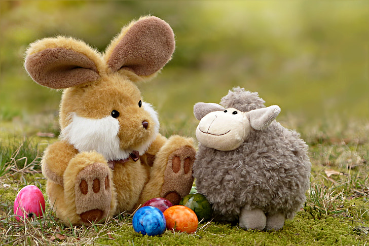 shallow focus photography of two assorted plush toys