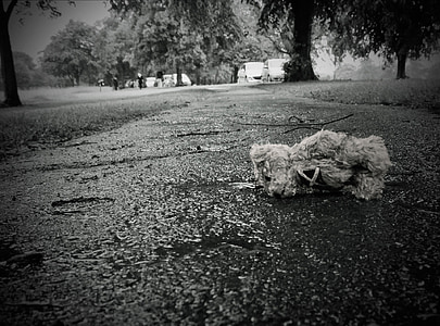 grayscale photo of teddy bear on concrete