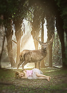 girl lying on the grass beside brown deer