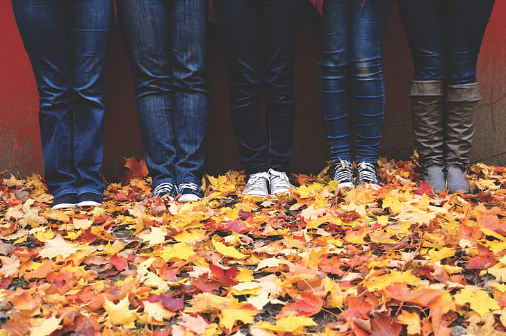 five person standing on maple leaves on ground