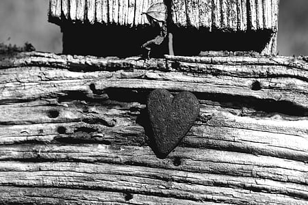 grayscale photo of heart-shaped stone