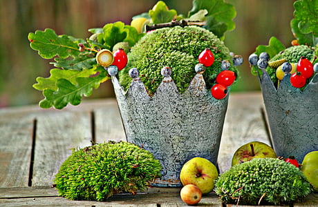 two grey crown buckets with green flowers and fruits closeup photography