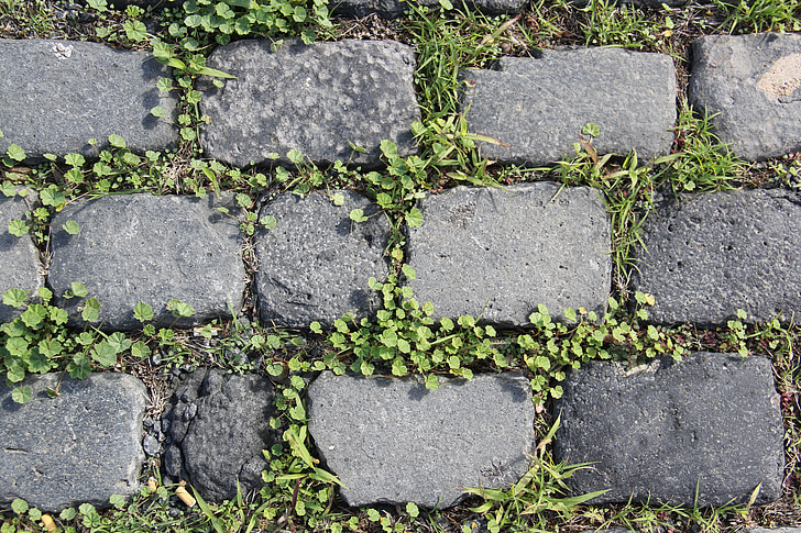 gray concrete brick pathway at daytime