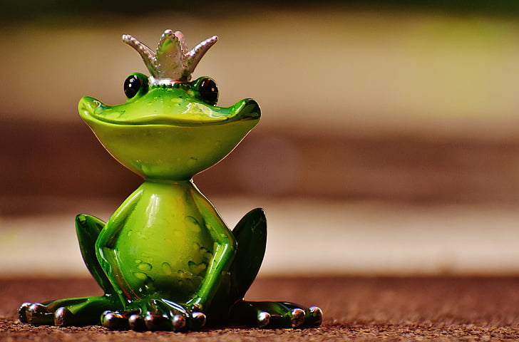 selective photograph of green frog figurine