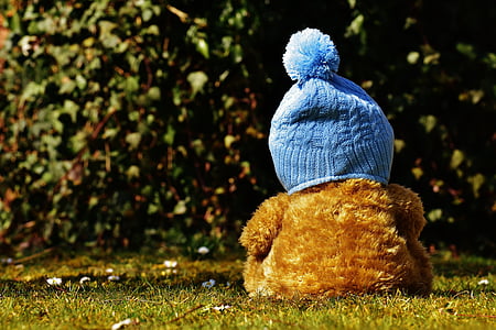 brown teddy bear wearing blue bobble hat on green grass