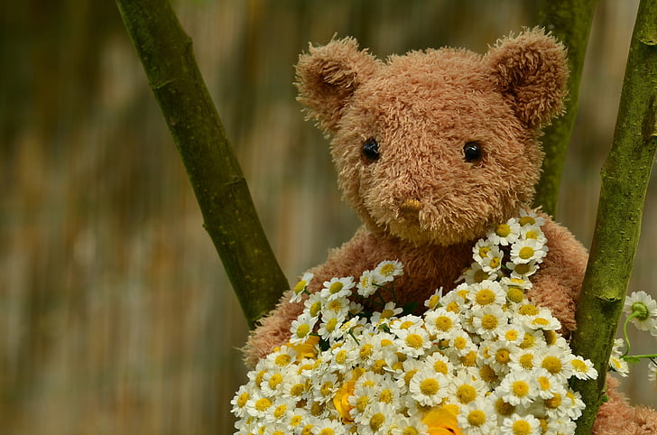 Get Well Soon Little Brown Teddy Bear Pink Flower Flowers Bears Greeting  Card