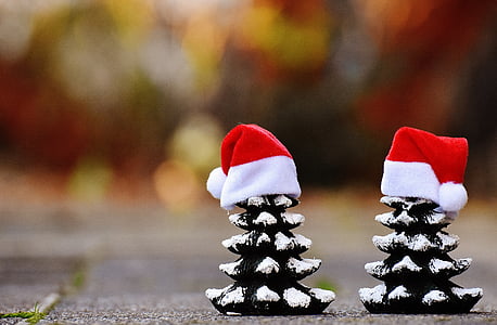 two pine cones wearing Santa Claus hats