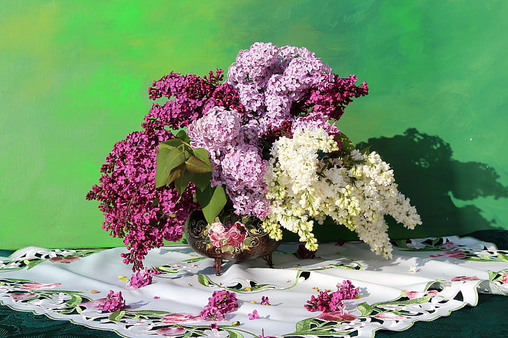 purple, pink, and white lilacs in bloom close up photo