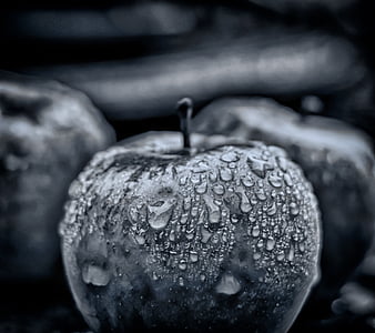 greyscale photo of apple with dew