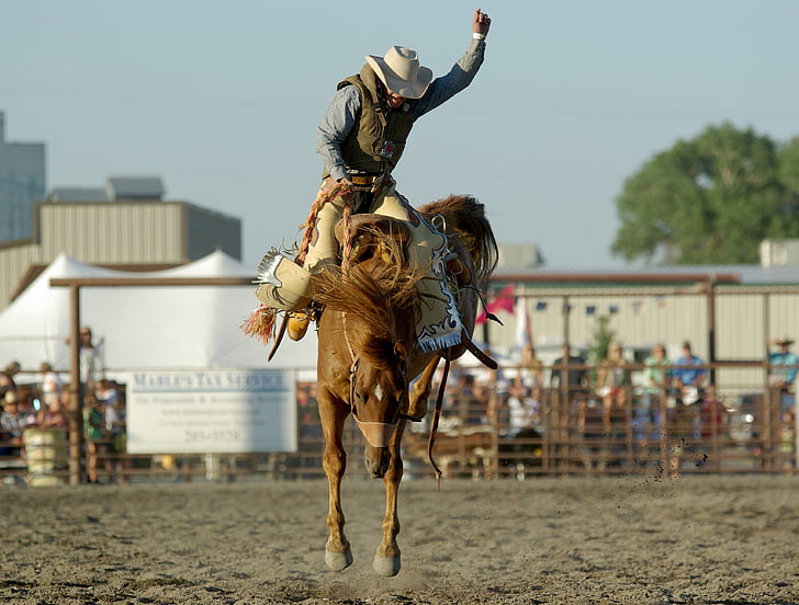 cowboy riding a horse