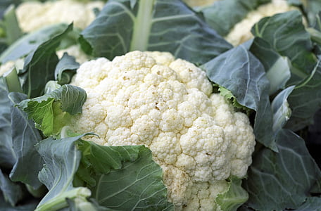 close-up photograph cauliflower