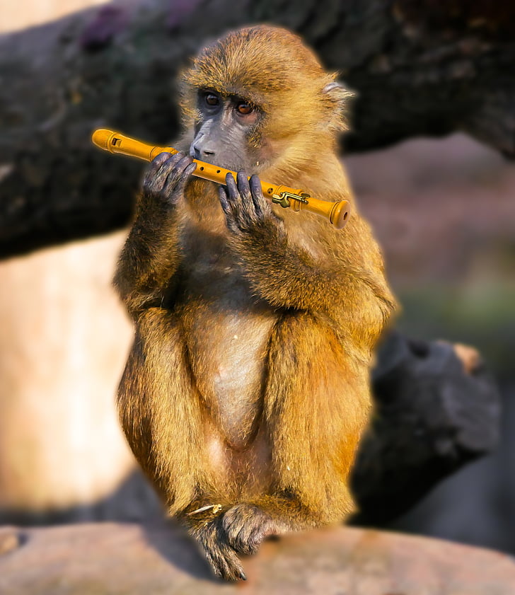 brown monkey holding flute