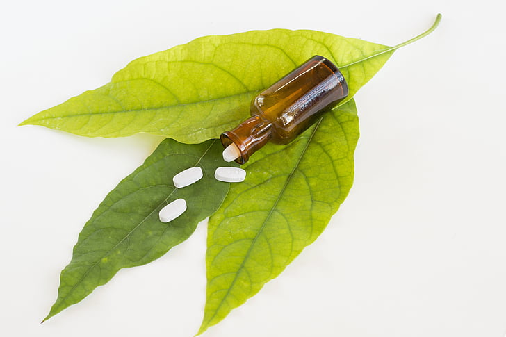four white medicine pills on green leaves