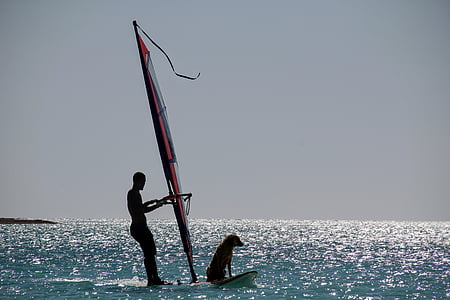 man with dog on sailboard on body of water under blue sky at daytime