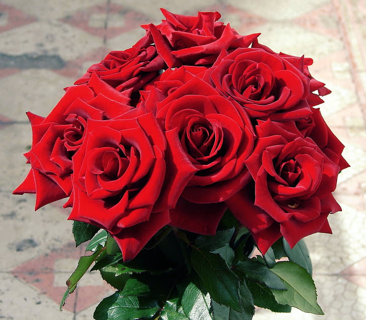 closeup of bouquet of red roses