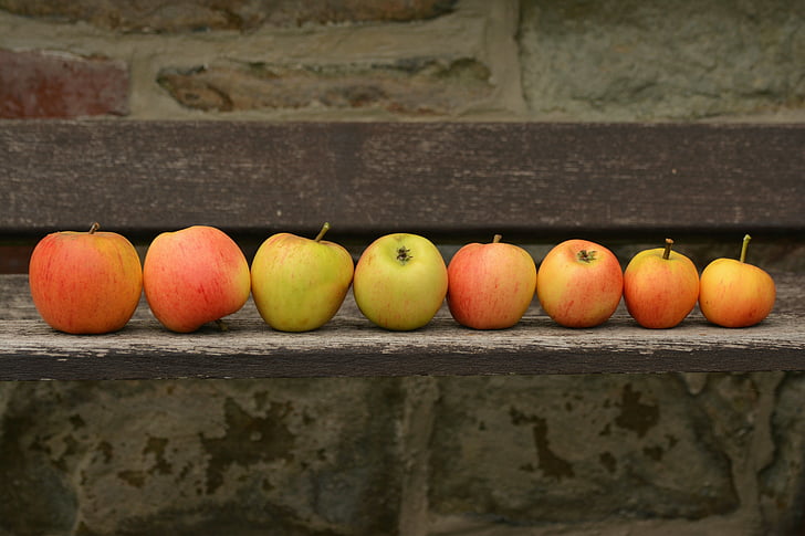 pile of ripe Apples