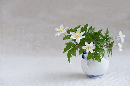 white petaled flowers on white ceramic vase