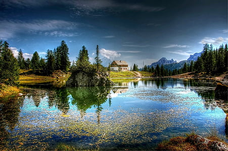lake and trees scenery