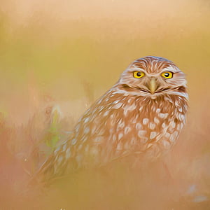 selective focus beige and brown owl painting