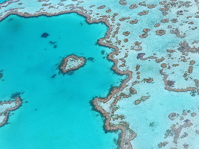 aerial photography of blue sea