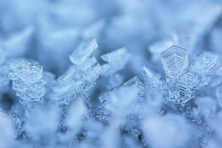 selective photography of snowflakes