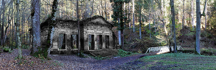 abandoned concrete house in forest at daytime