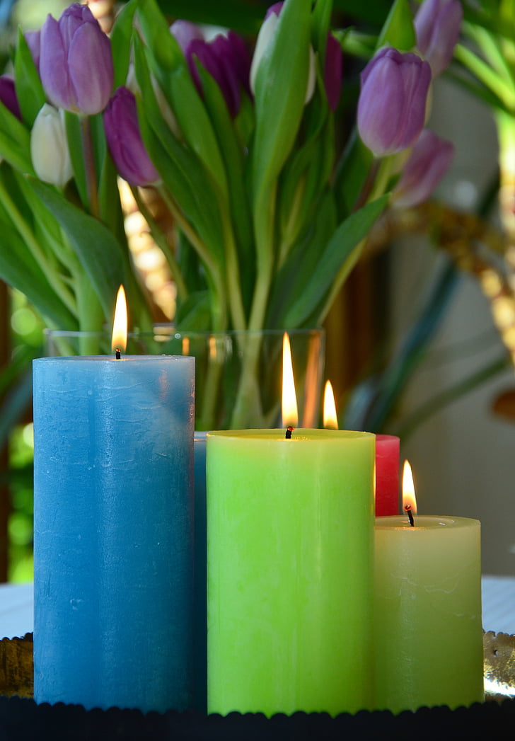 lit pillar candles beside purple tulips