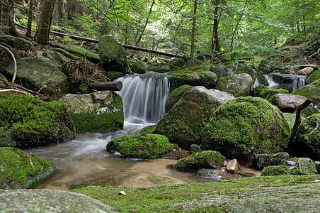 landscape photograph of flowing water between trees
