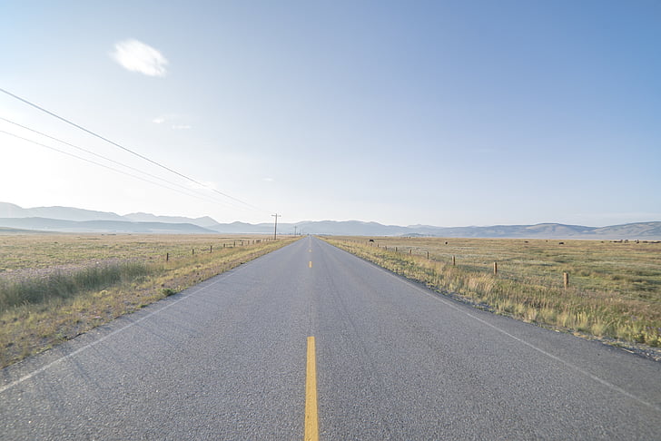 photo of empty road between grass