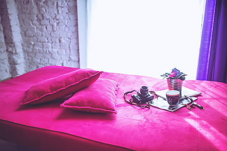 two rectangular pink pillows beside black DSLR camera