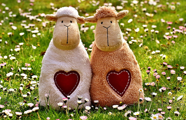 two white and brown sheep plush toys