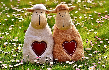 two white and brown sheep plush toys