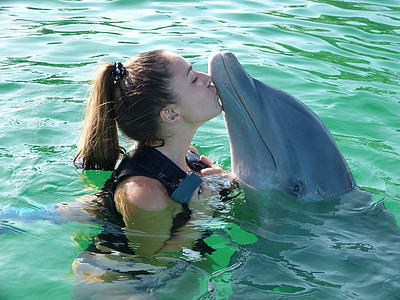 girl in black personal flotation device kissing dolphin